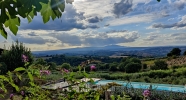 Vista sull'oliveto (Countryhouse Appartementen met ontbijt)