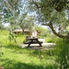 Blokhut, Ingerichte tent en mini-camping Rocca di Sotto
